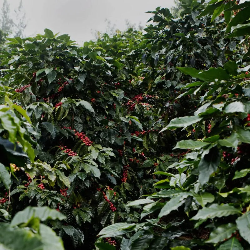 What freshness actually means