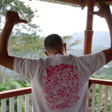 Colombia, Finca Alcatraz, Wilfredo Ule Vargas, Caturra