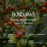 Honduras, Nueva Esperanza, David Muñoz