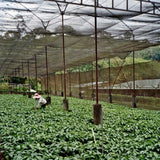 Costa Rica, Aquiares Estate Red Honey, Diego Robelo
