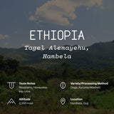 Ethiopia, Tagel Alemayehu, Hambela